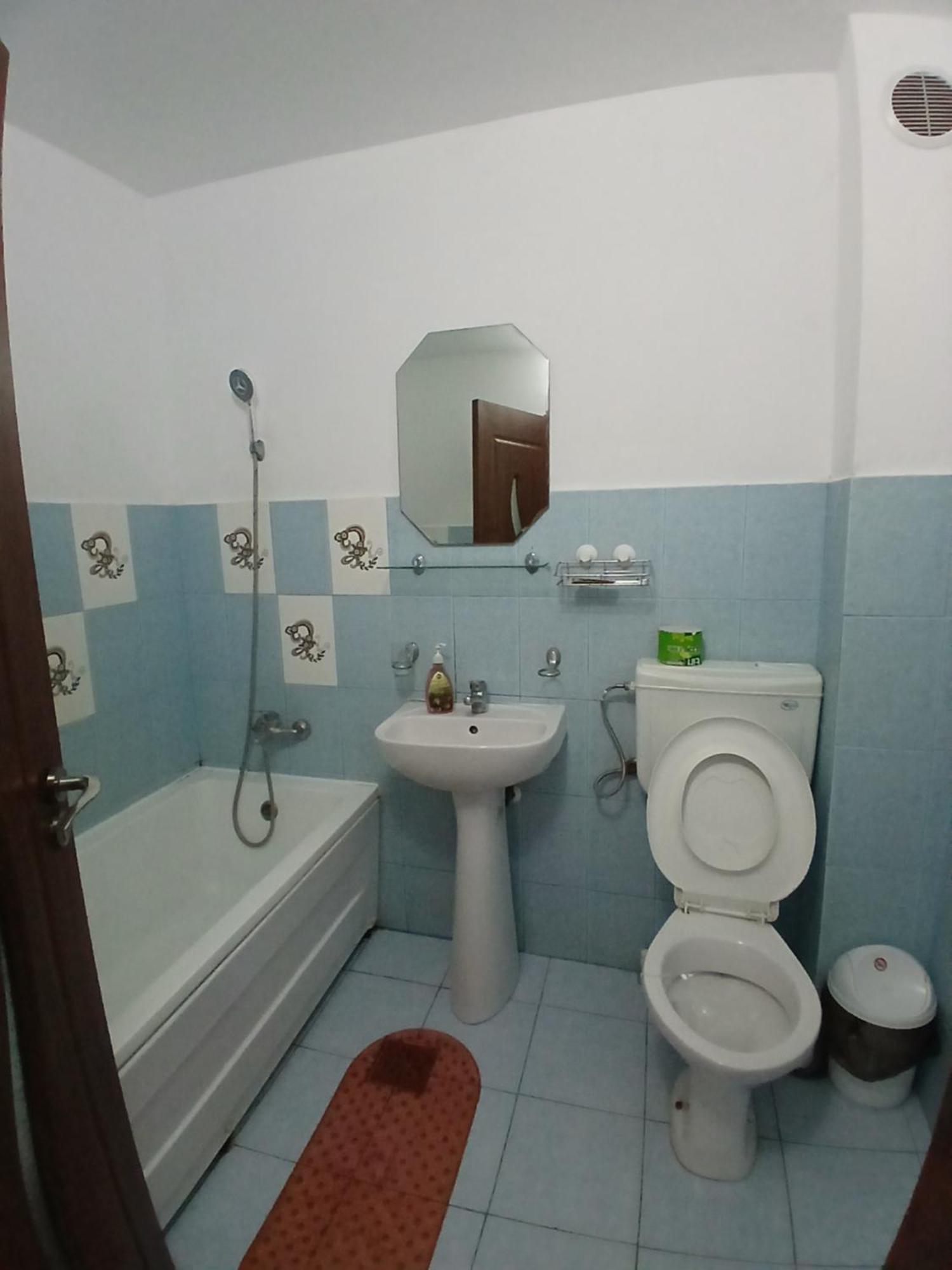 Casa Rustica Apart & Rooms Cîmpineanca Kültér fotó