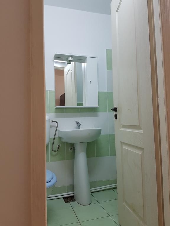 Casa Rustica Apart & Rooms Cîmpineanca Kültér fotó
