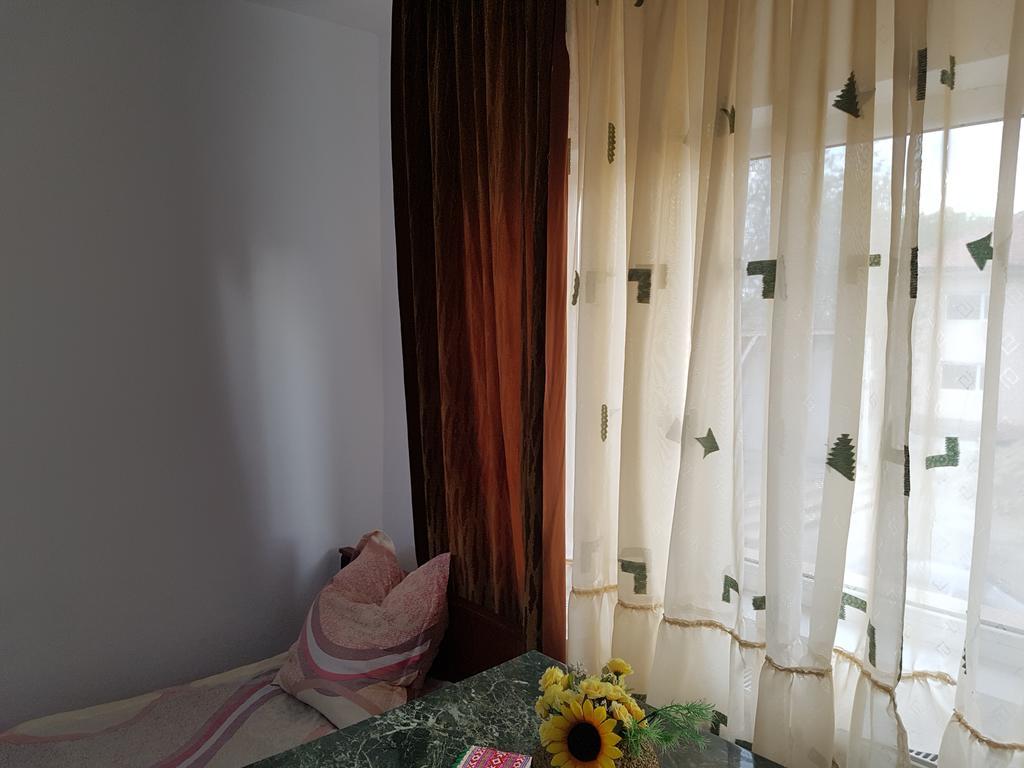 Casa Rustica Apart & Rooms Cîmpineanca Kültér fotó