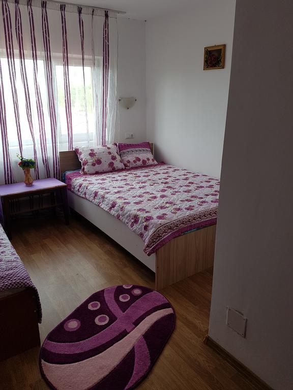Casa Rustica Apart & Rooms Cîmpineanca Kültér fotó