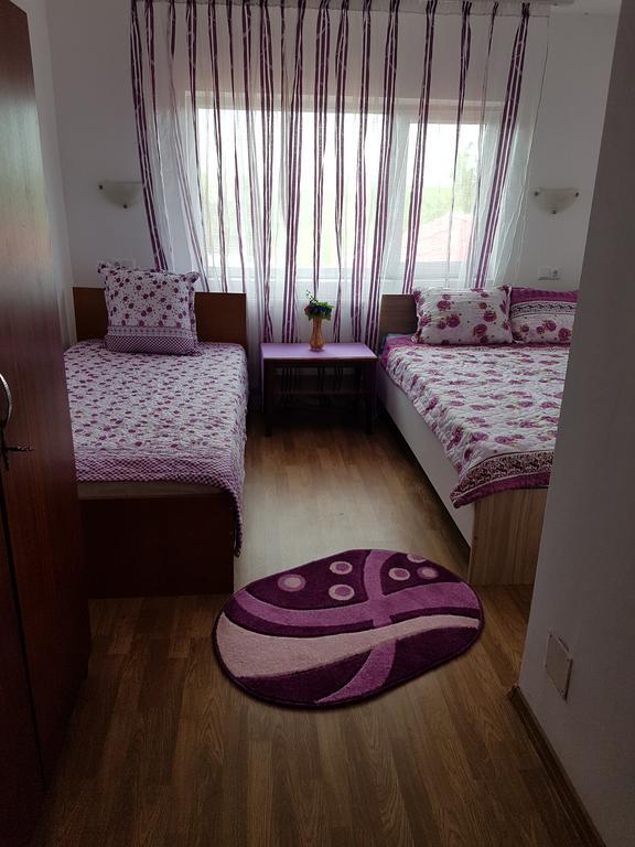 Casa Rustica Apart & Rooms Cîmpineanca Kültér fotó