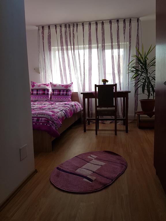 Casa Rustica Apart & Rooms Cîmpineanca Kültér fotó