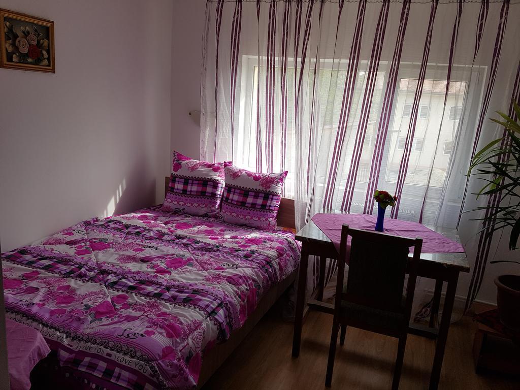 Casa Rustica Apart & Rooms Cîmpineanca Kültér fotó