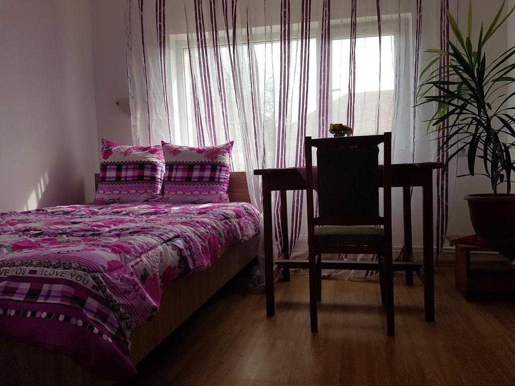 Casa Rustica Apart & Rooms Cîmpineanca Kültér fotó
