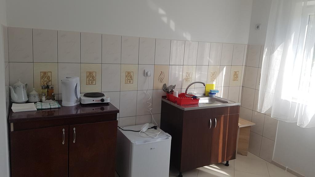 Casa Rustica Apart & Rooms Cîmpineanca Kültér fotó