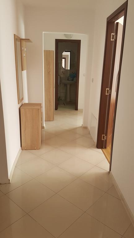 Casa Rustica Apart & Rooms Cîmpineanca Kültér fotó