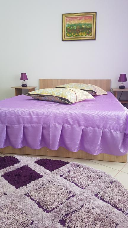 Casa Rustica Apart & Rooms Cîmpineanca Kültér fotó
